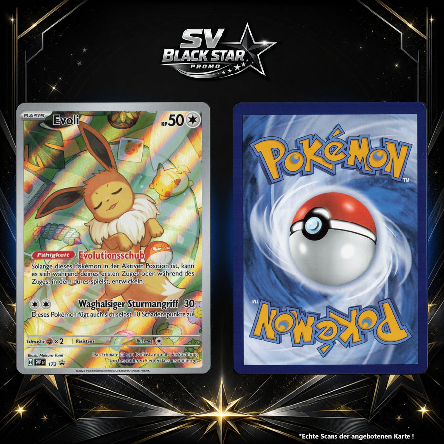 Evoli Normal SVP 173/226