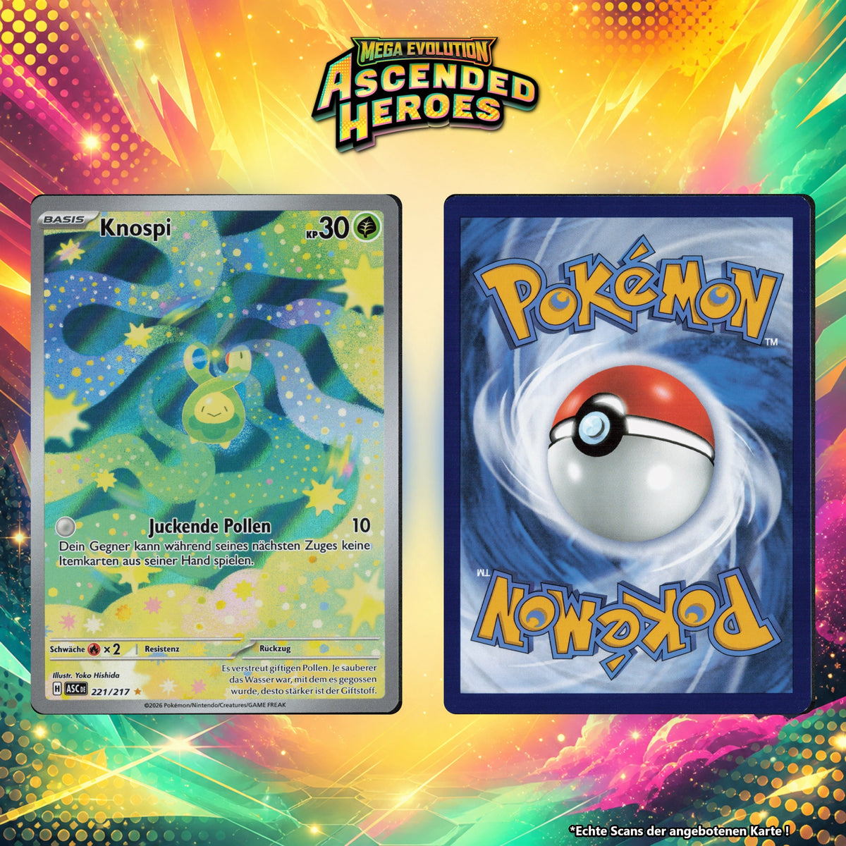 Knospi Normal ASC 221/217