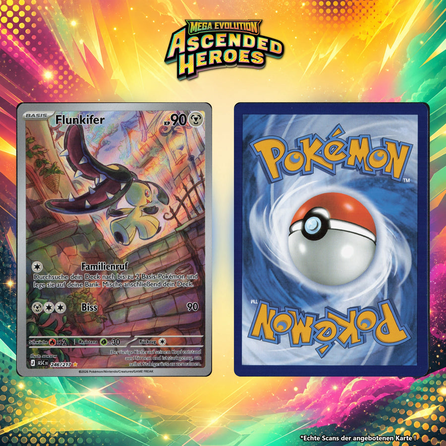 Flunkifer Normal ASC 246/217