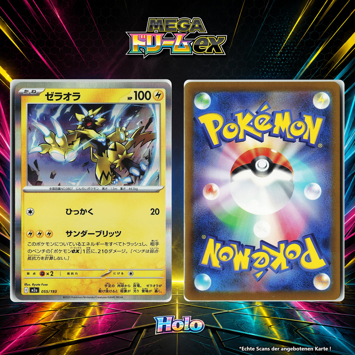 Zeraora Holo M2A 55/193