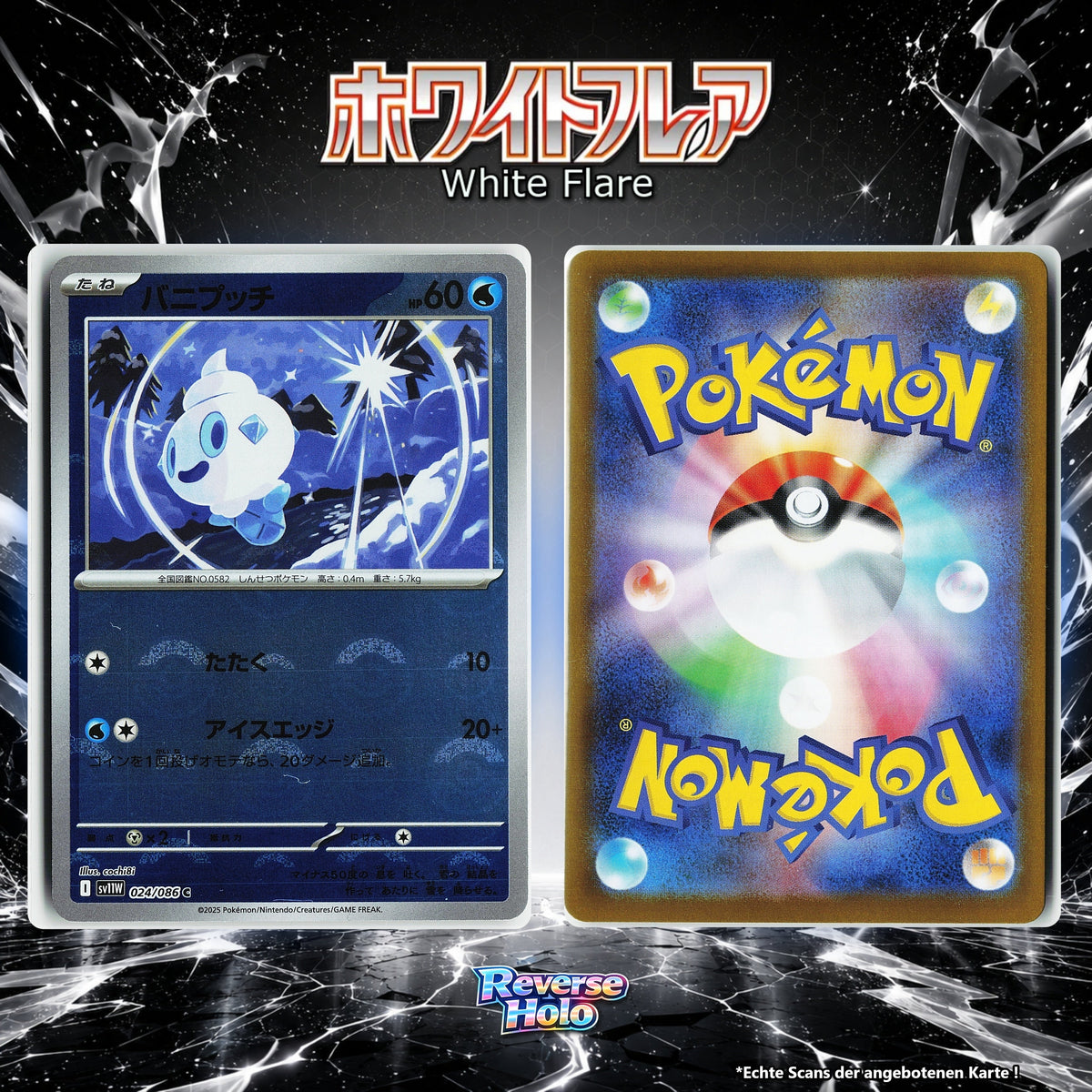 Vanillite Reverse Holo Pokeball SV11W 24/86