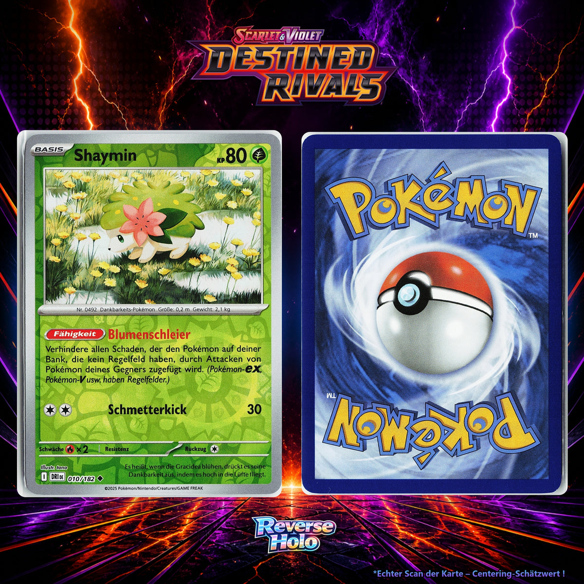 Shaymin front