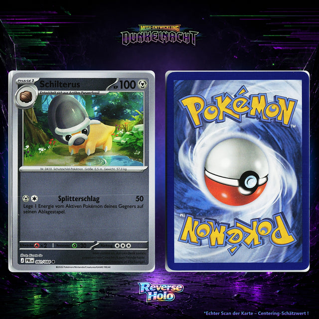 Schilterus front
