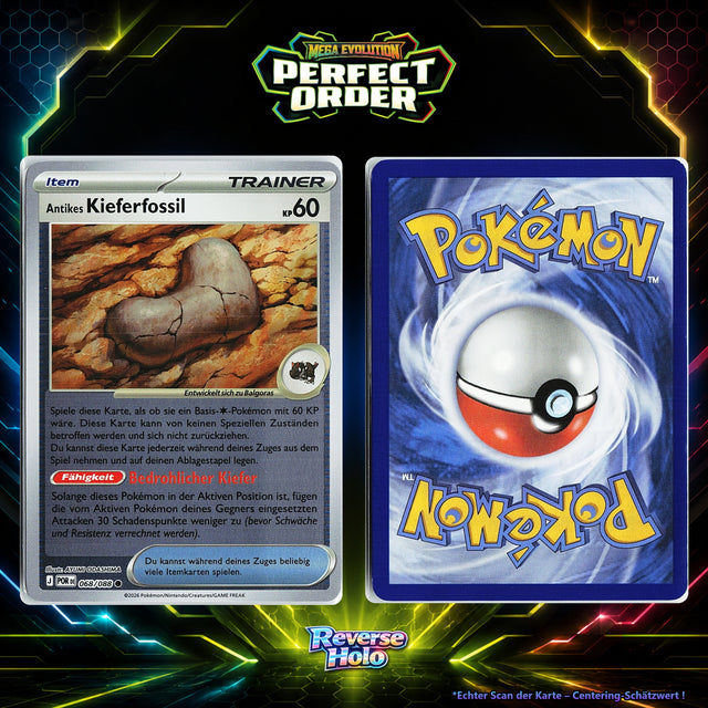 Antikes Kieferfossil front