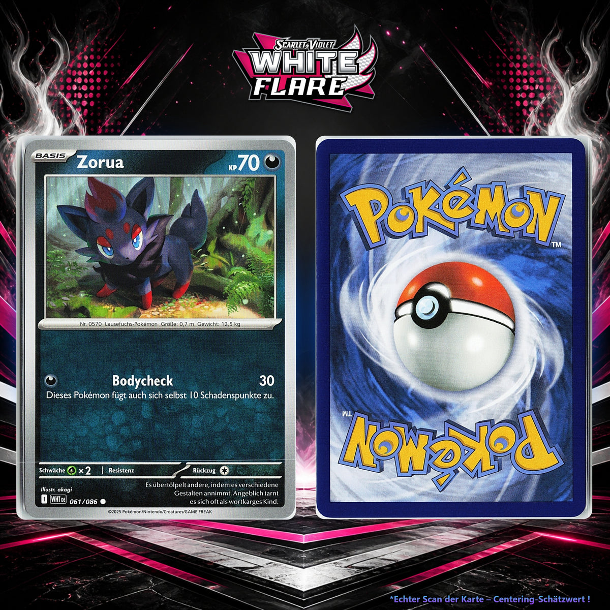 Zorua front
