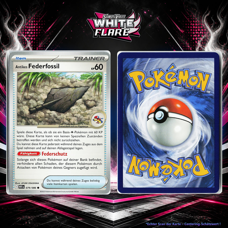 Antikes Federfossil front