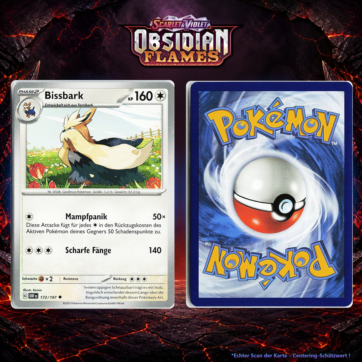 Bissbark front