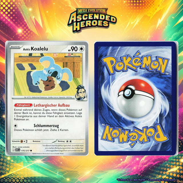 Aokis Koalelu front