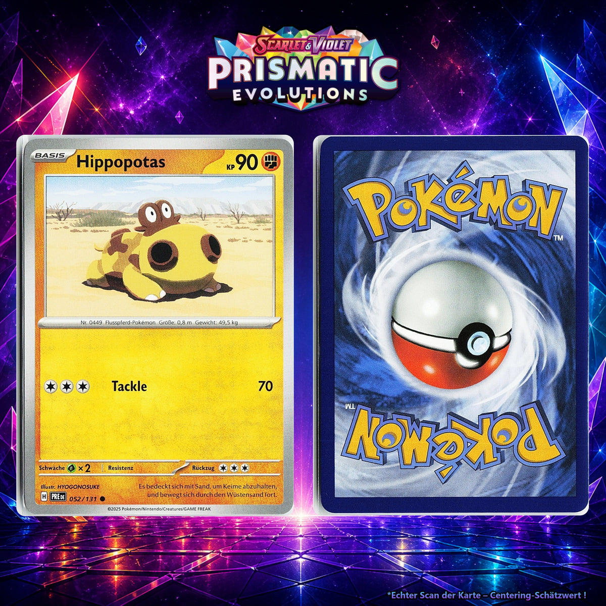 Hippopotas front