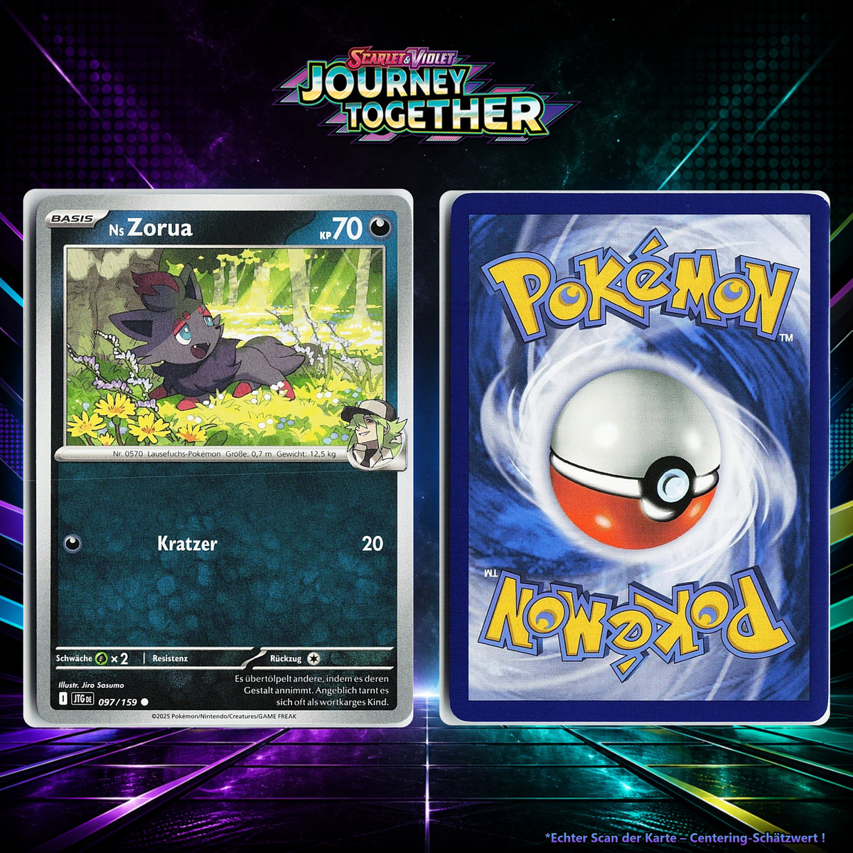 Ns Zorua front