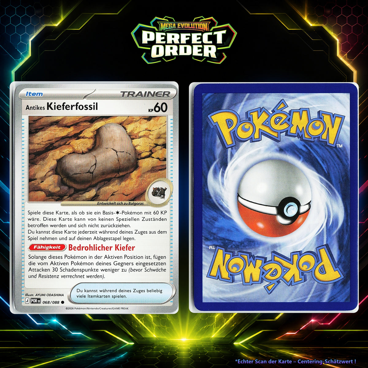 Antikes Kieferfossil front