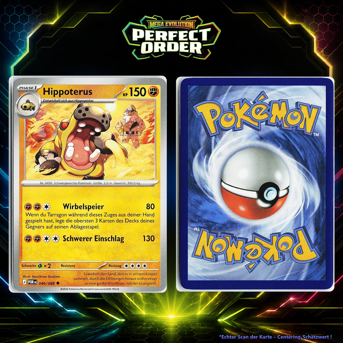 Hippoterus front