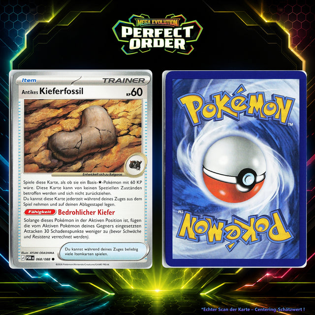 Antikes Kieferfossil front