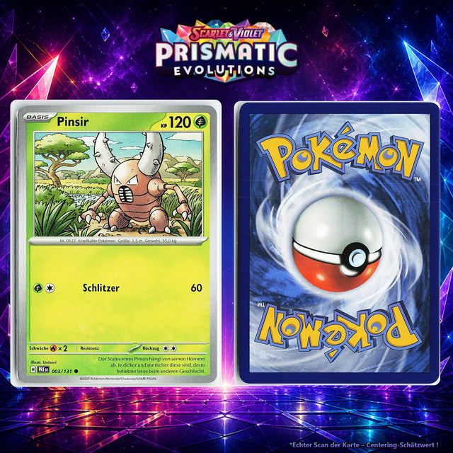 Pinsir front