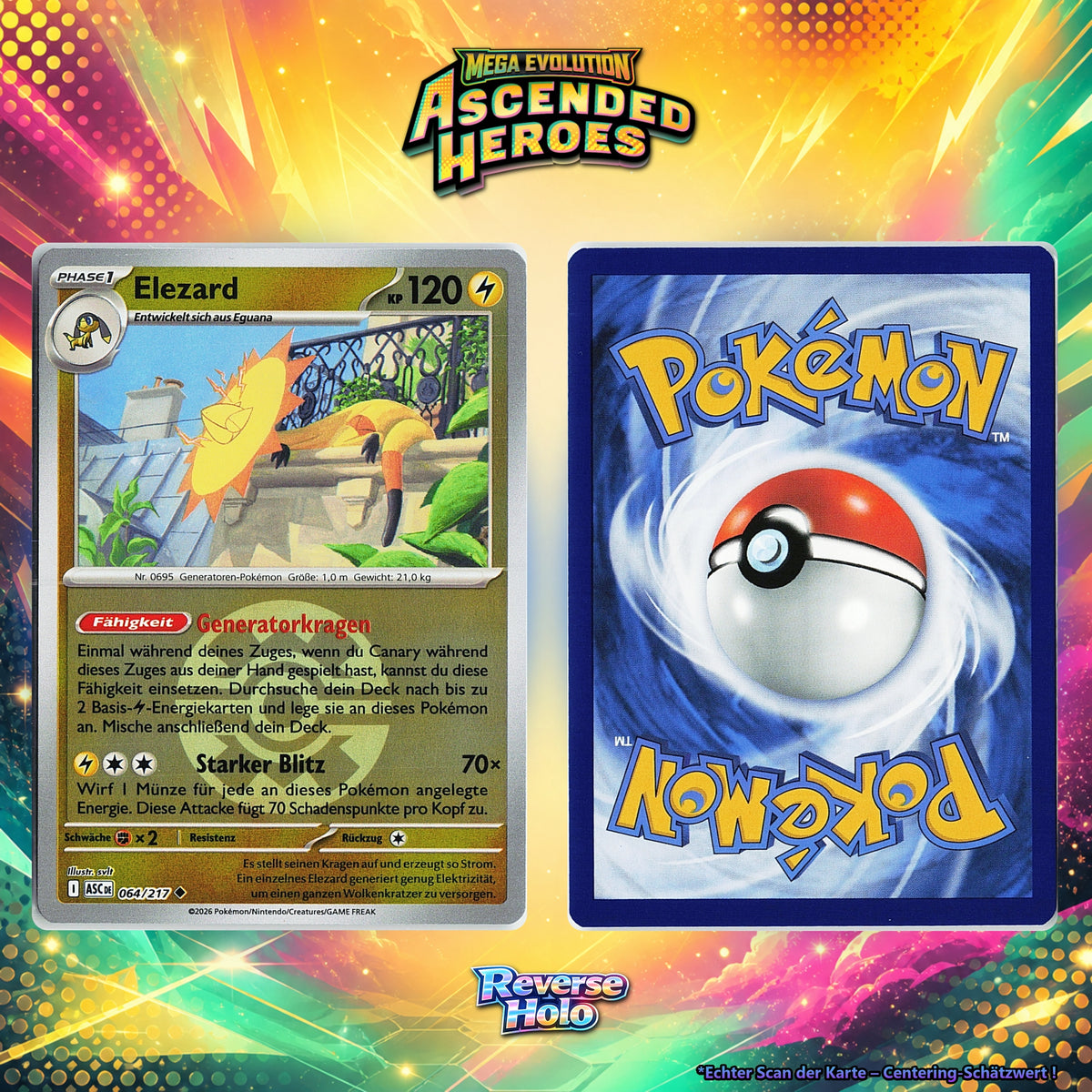 Elezard front
