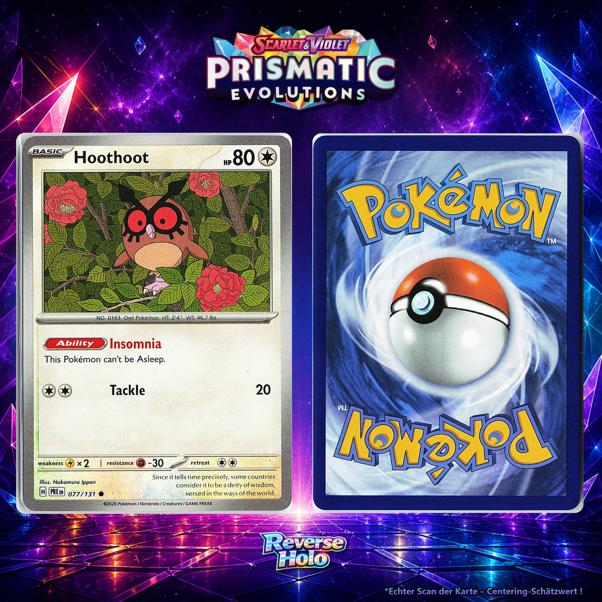 Hoothoot front