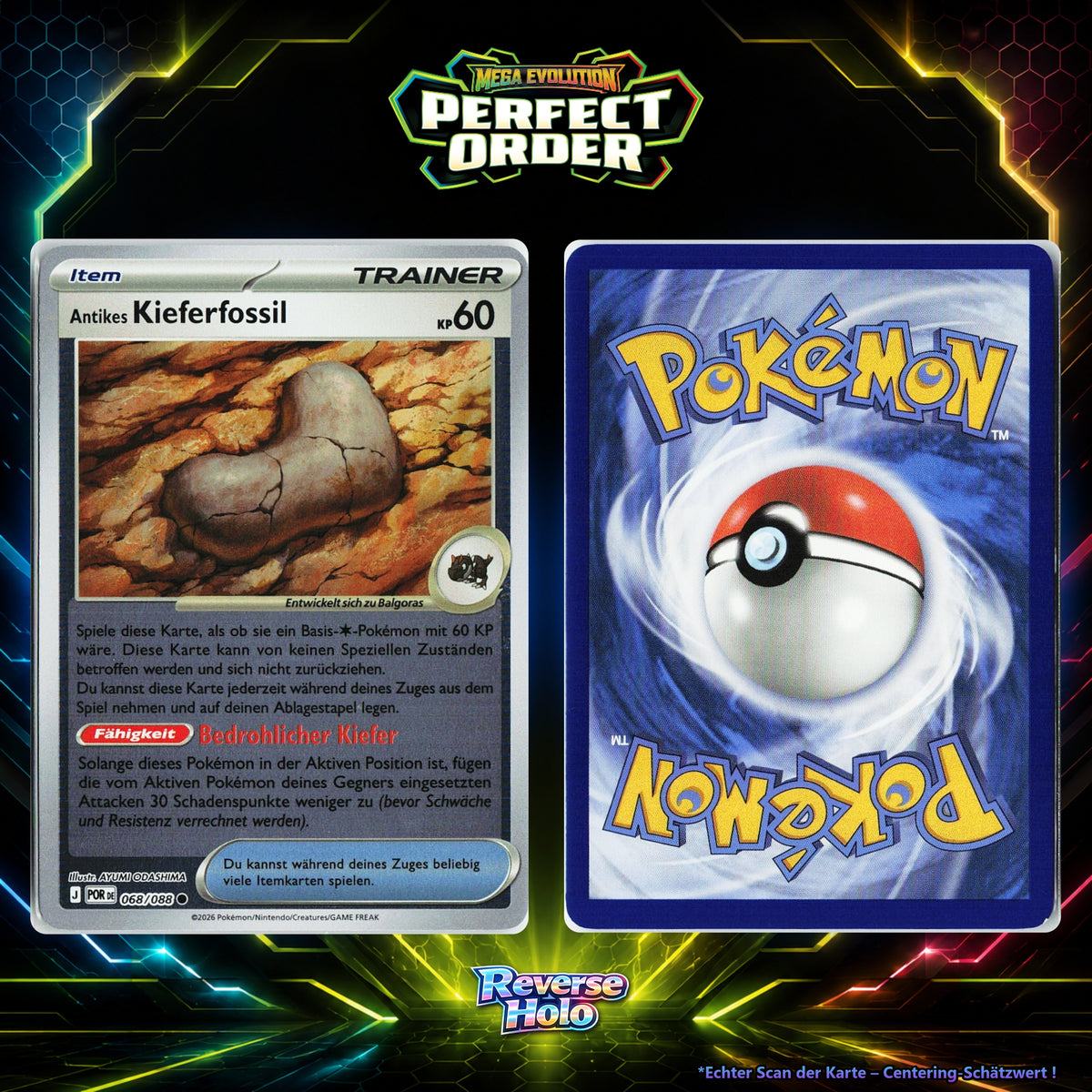 Antikes Kieferfossil front