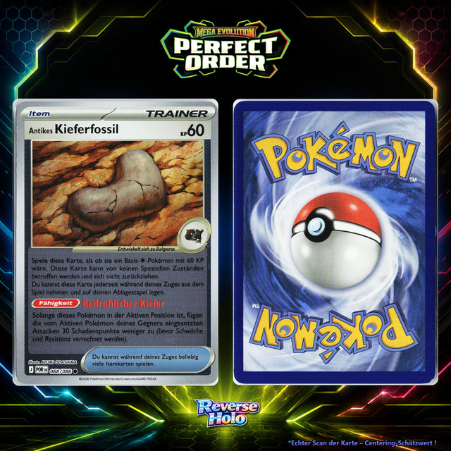 Antikes Kieferfossil front