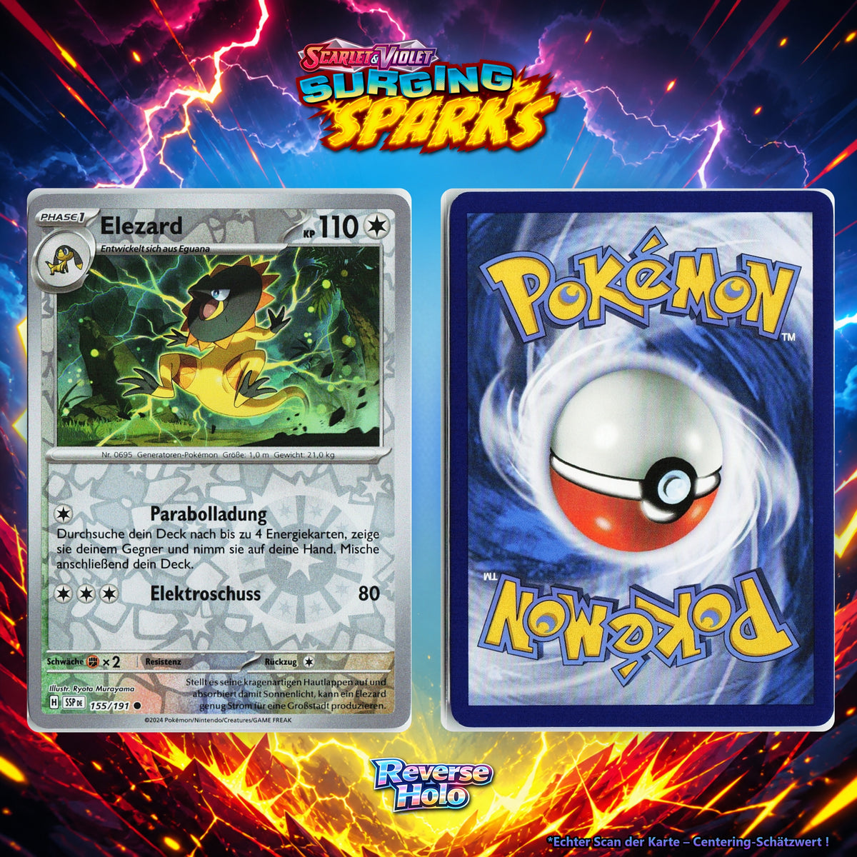 Elezard front