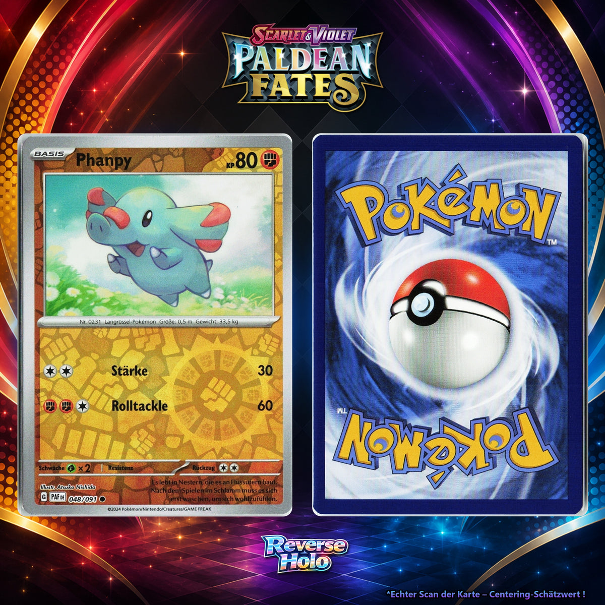 Phanpy front