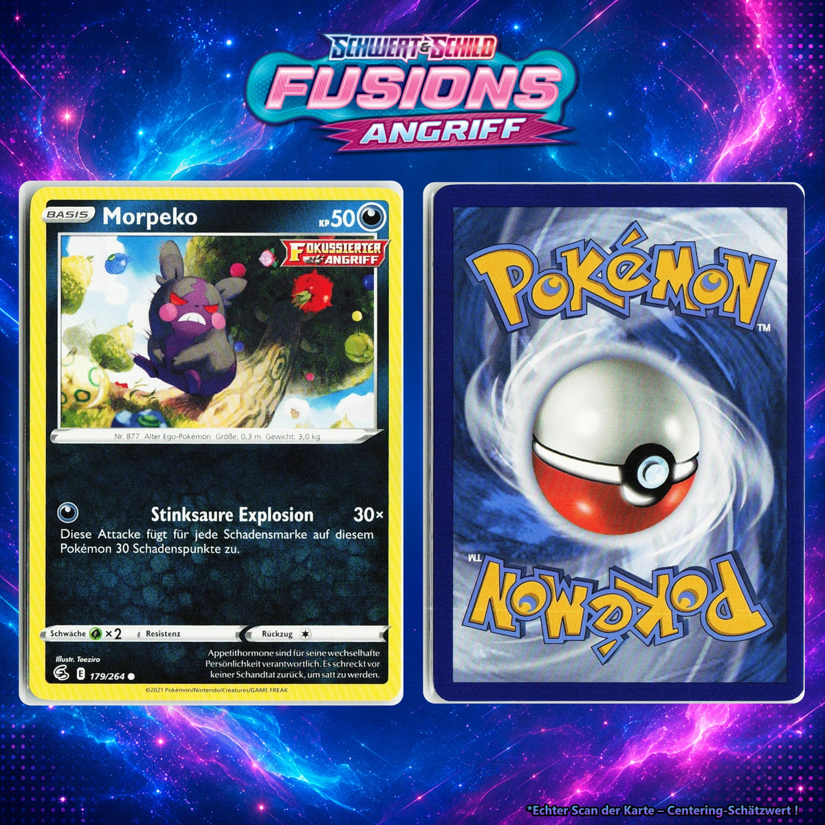 Morpeko front