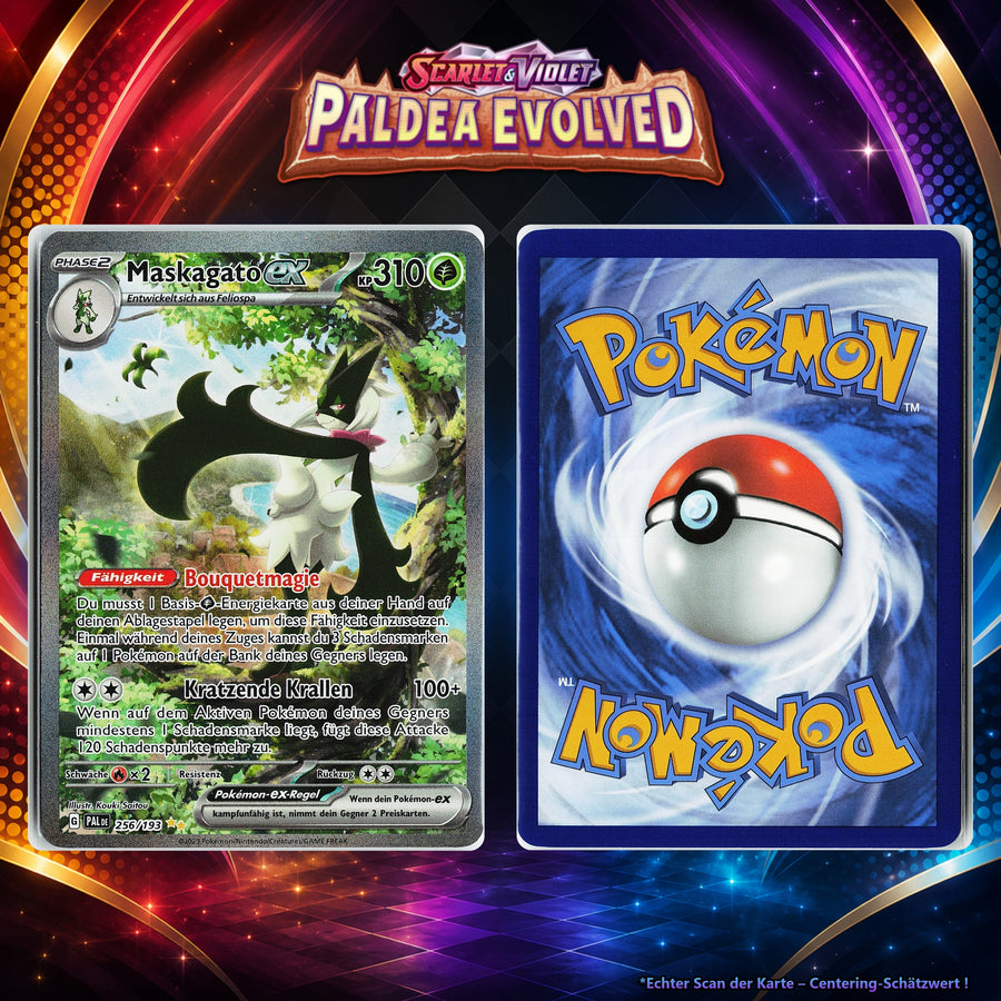Maskagato ex front