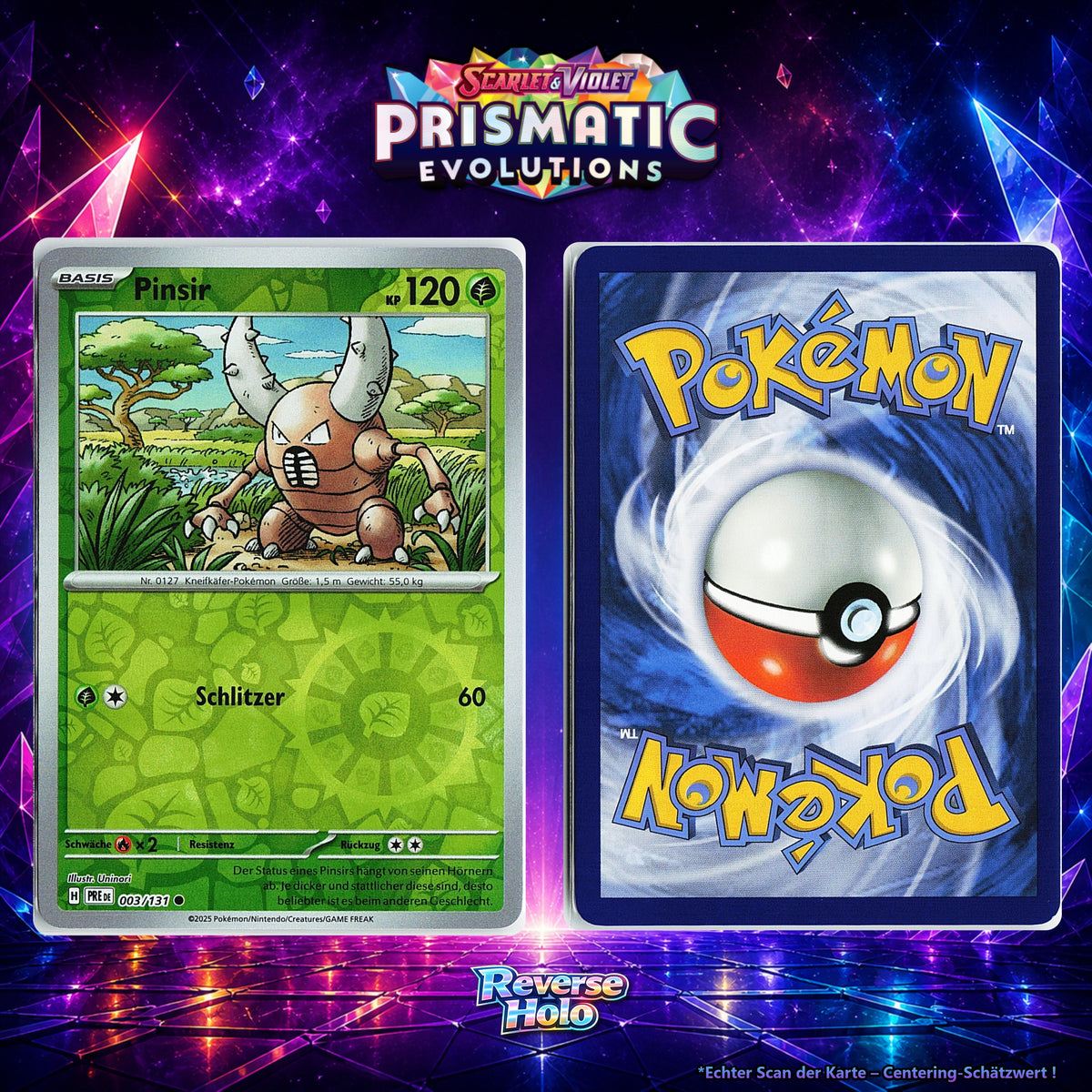 Pinsir front