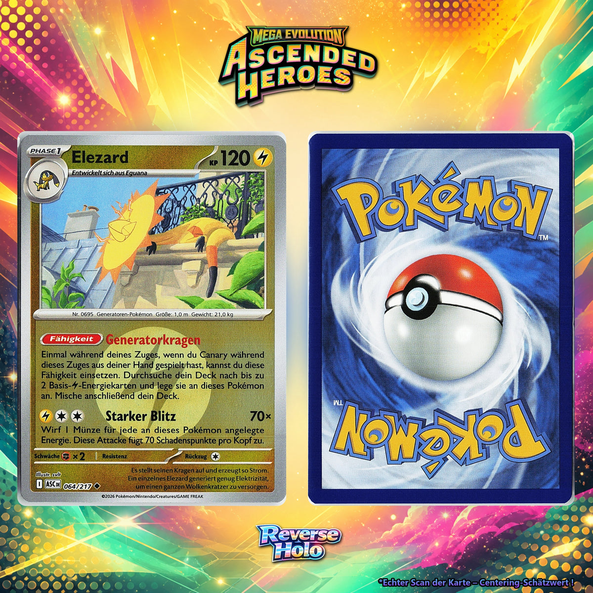 Elezard front