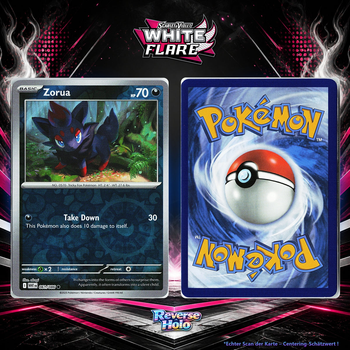 Zorua front