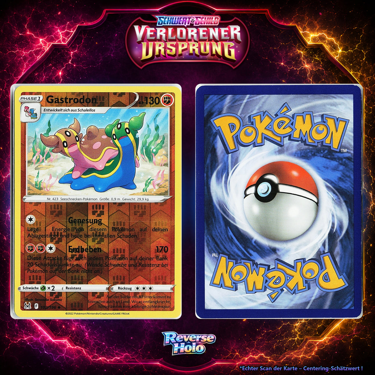 Gastrodon front