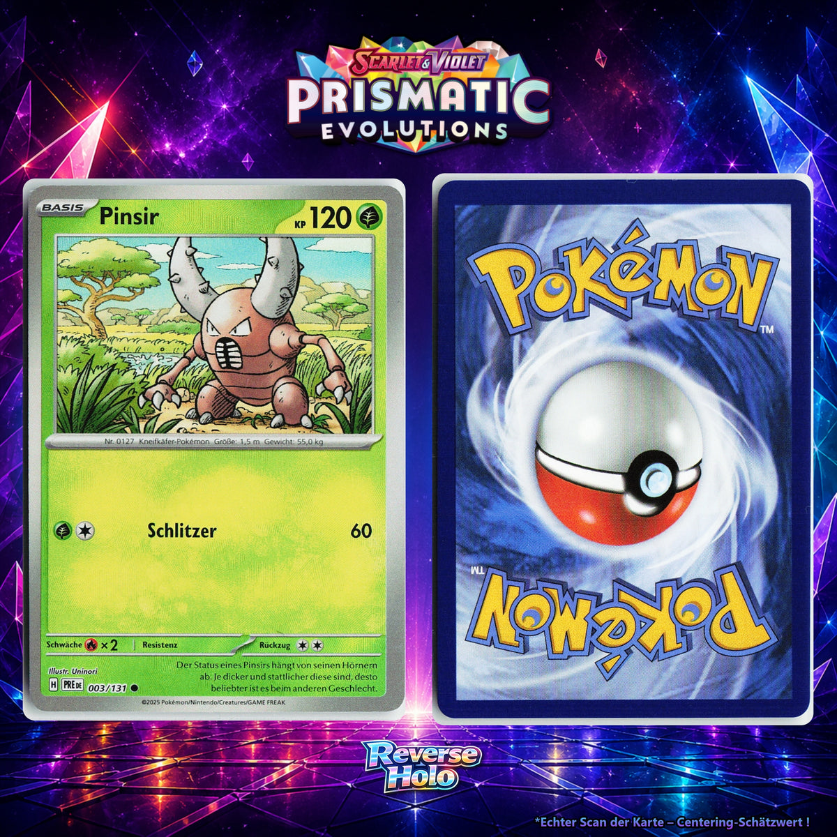 Pinsir front